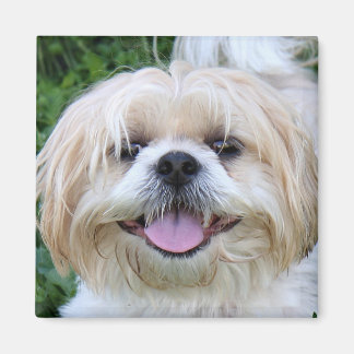 Happy smile magnet