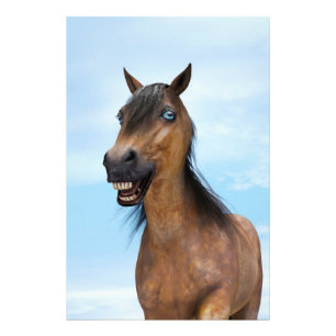 Happy Smiling Bay Horse Photo Print