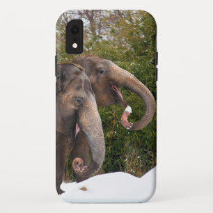 Happy smiling cute elephants playing in the snow. iPhone XR case