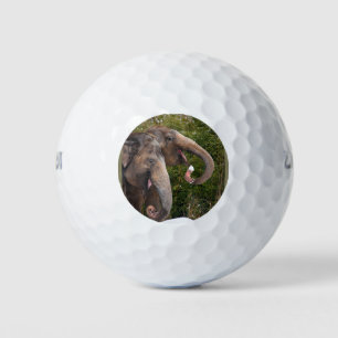 Happy smiling cute elephants playing in the snow. golf balls