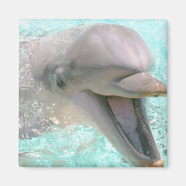 Happy Smiling Dolphin Magnet (Front)
