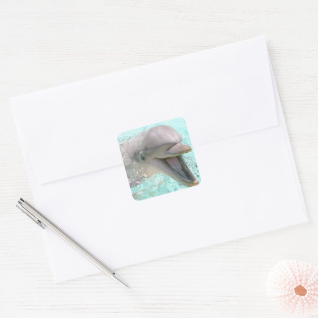 Happy Smiling Dolphin Square Sticker (Envelope)
