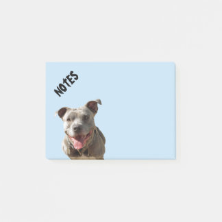 Happy Smiling Pitbull Post-it Notes