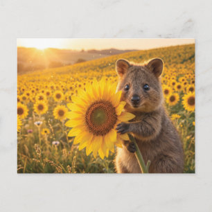 Happy Smiling Quokka Holding a Sunflower Postcard