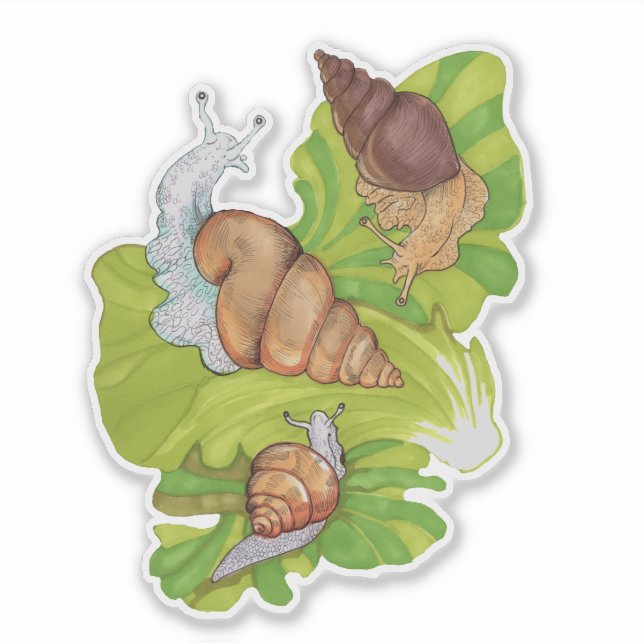 Happy Snails on Leafs (Front)