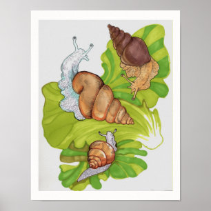 Happy Snails on Lettuce Leaf Art Poster