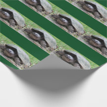 Happy Snapping Turtle Wrapping Paper