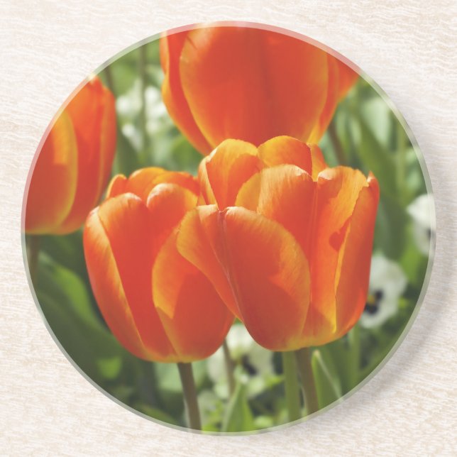 Happy Spring Coaster (Front)