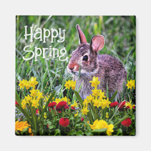Happy Spring Daffodils and Rabbit  Magnet