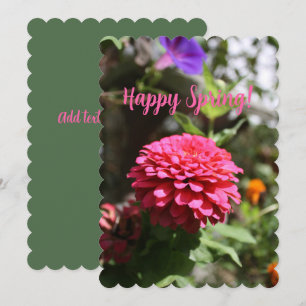 Happy Spring Flowers Photography