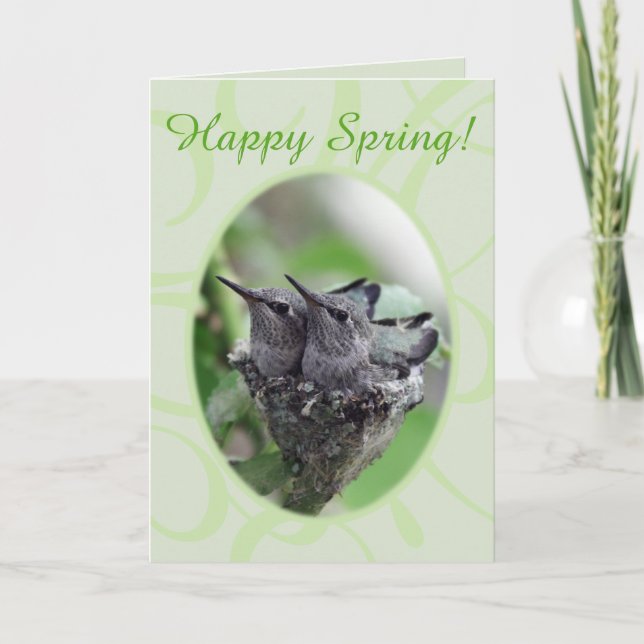 Happy Spring | Hummingbirds in Nest Photo | Holiday Card (Front)