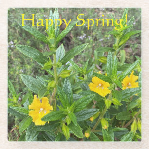 Happy Spring Monkeyflowers! Glass Coaster