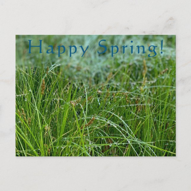 Happy Spring! Postcard (Front)