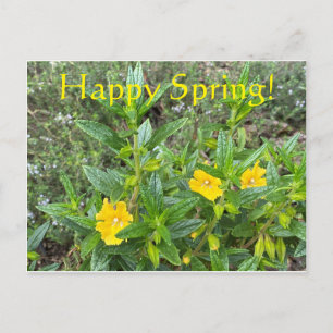 Happy Spring! Postcard