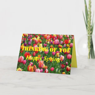 Happy Spring Tulips Holiday Card