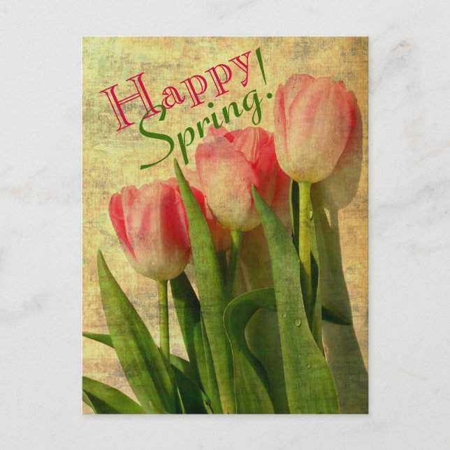 Happy Spring Tulips Postcards (Front)