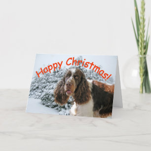 Happy Springer Xmas! Holiday Card