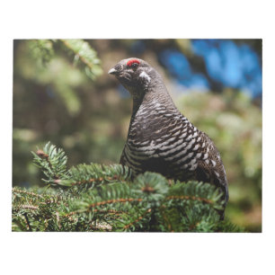 Happy Spruce Grouse Notepad