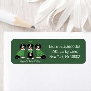 Happy St Patricks Day Bernese Mountain Dogs