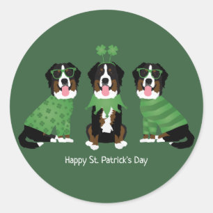 Happy St Patricks Day Bernese Mountain Dogs Classic Round Sticker