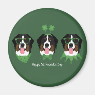 Happy St Patricks Day Bernese Mountain Dogs Magnet