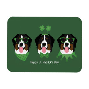 Happy St Patricks Day Bernese Mountain Dogs Magnet
