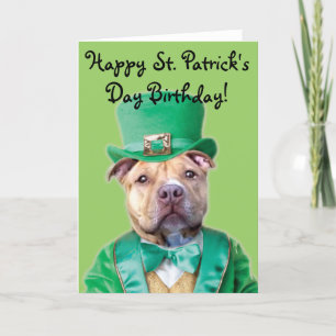 Happy St. Patrick's Day Birthday Pitbull card