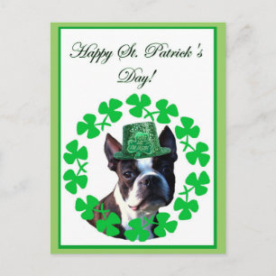 Happy st. Patrick's day boston terrier postcard