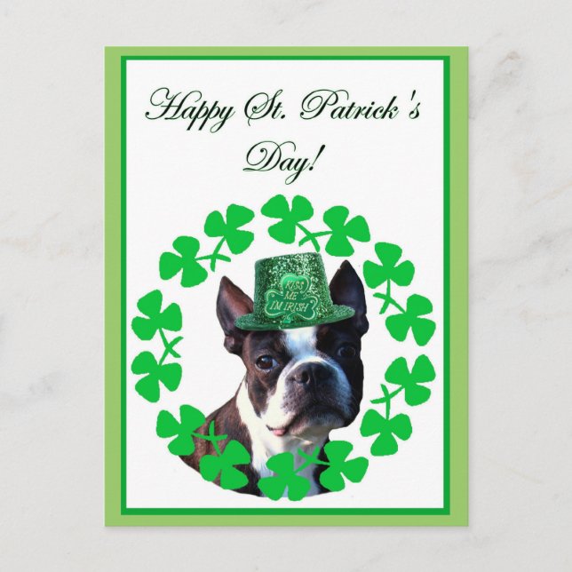 Happy st. Patrick's day boston terrier postcard (Front)