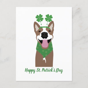 Happy St Patricks Day Brown Dog Green Postcard