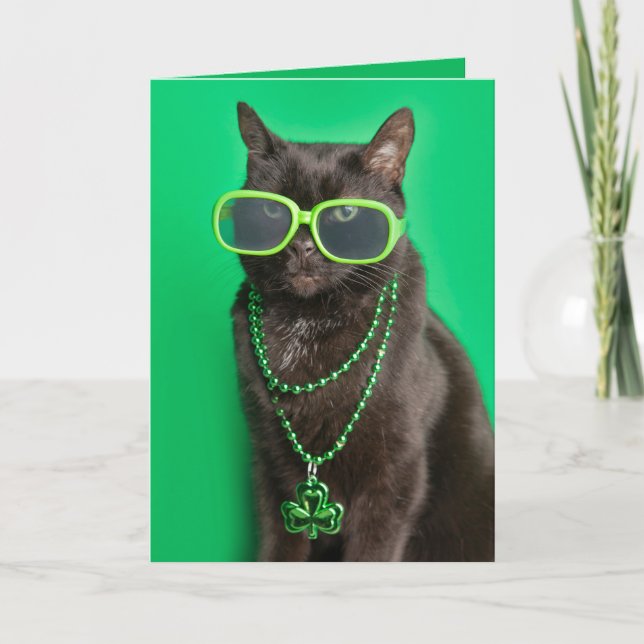 Happy St Patricks Day Cat in Green Humour  Holiday Card (Front)