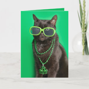 Happy St Patricks Day Cat in Green Humour  Holiday Card