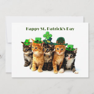 Happy St. Patrick's day cats invitation