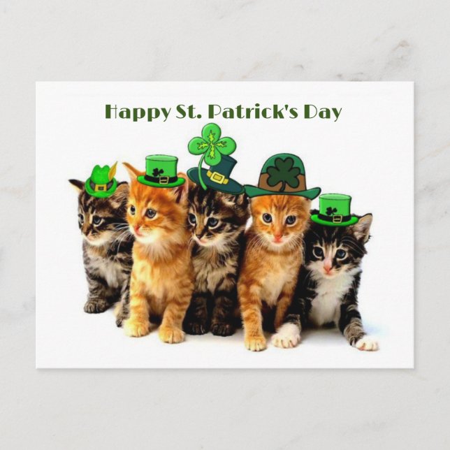 Happy St. Patrick's day cats postcard (Front)
