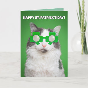 Happy St. Patrick's Day Cute Cat Holiday Card