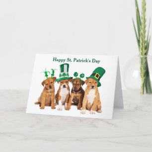 Happy St. Patrick's Day Dogs Folded Holiday Card