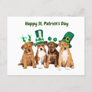 Happy St. Patrick's Day dogs Holiday Postcard