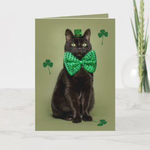 Happy St. Patrick's Day For Anyone Black Cat Holiday Card