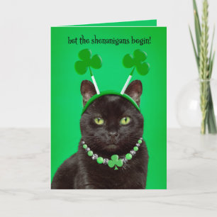 Happy St Patricks Day For Anyone Black Cat Humour Holiday Card