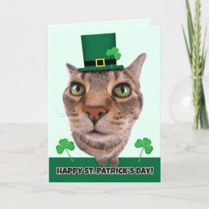 Happy St. Patrick's Day For Anyone Cat Humour Holiday Card