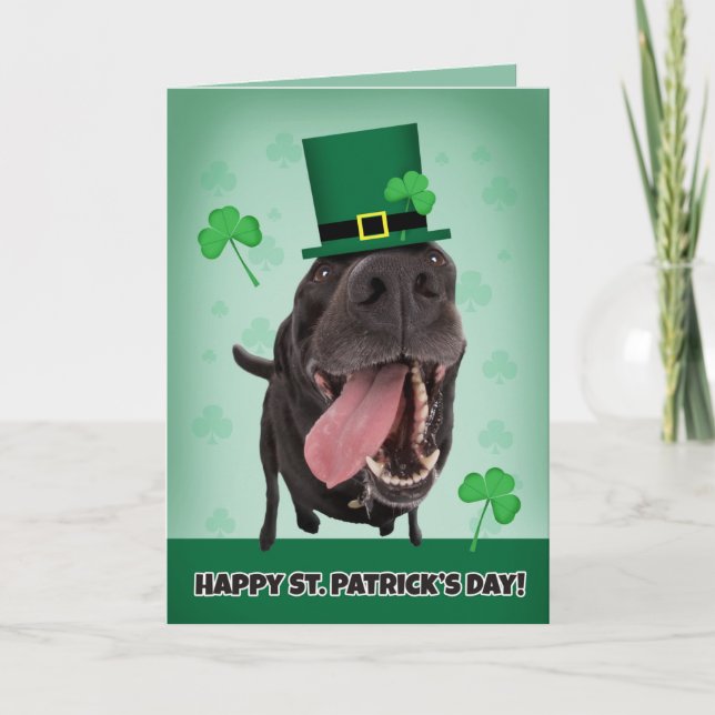 Happy St. Patrick's Day For Anyone Dog Humour Holiday Card (Front)