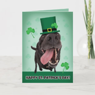 Happy St. Patrick's Day For Anyone Dog Humour Holiday Card