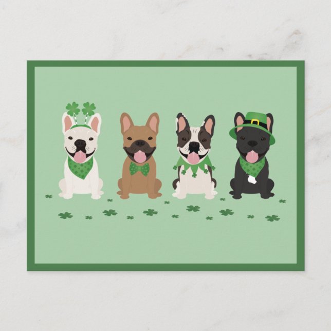 Happy St Patricks Day French Bulldogs Clover Holiday Postcard (Front)