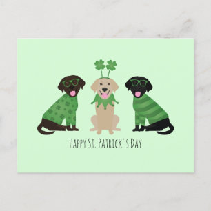 Happy St Patricks Day Labrador Retriever Dogs Postcard
