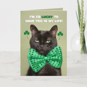 Happy St. Patrick's Day Lucky Black Cat Humour Holiday Card