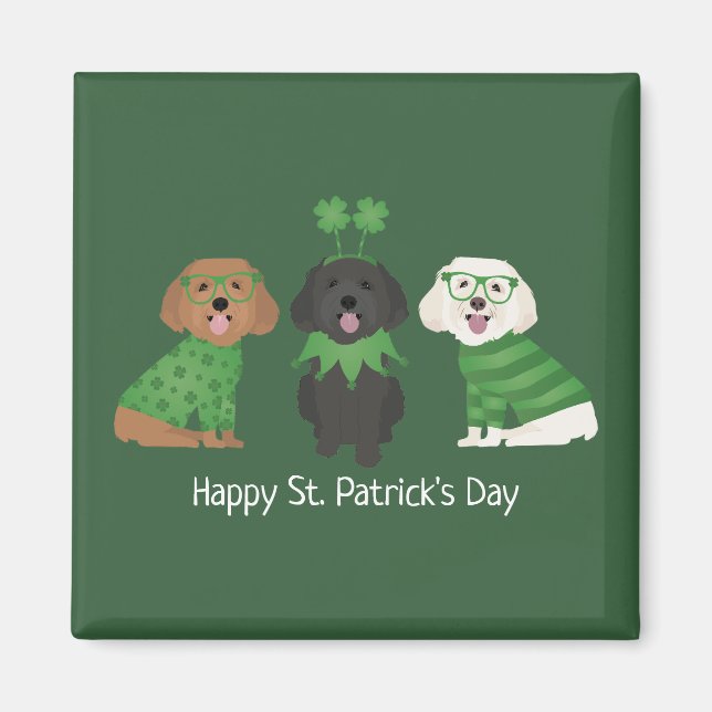 Happy St Patricks Day Maltipoo Dogs Magnet (Front)