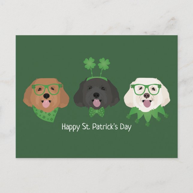 Happy St Patricks Day Maltipoo Dogs Postcard (Front)
