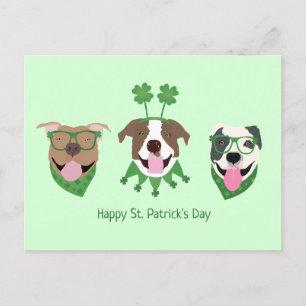 Happy St Patricks Day Pit Bull Dogs Postcard