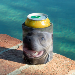 Happy Staffordshire Bull Terrier,   Can Cooler