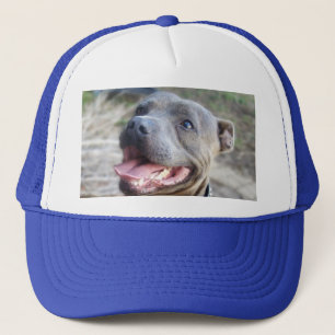 Happy Staffordshire Bull Terrier, Hat